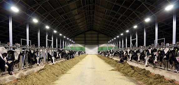 Systèmes d'éclairage