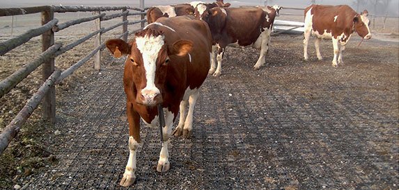 Dalles de stabilisation