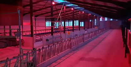 L'éclairage général