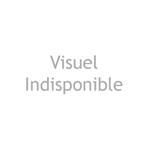 REGLETTE A NEONS LED