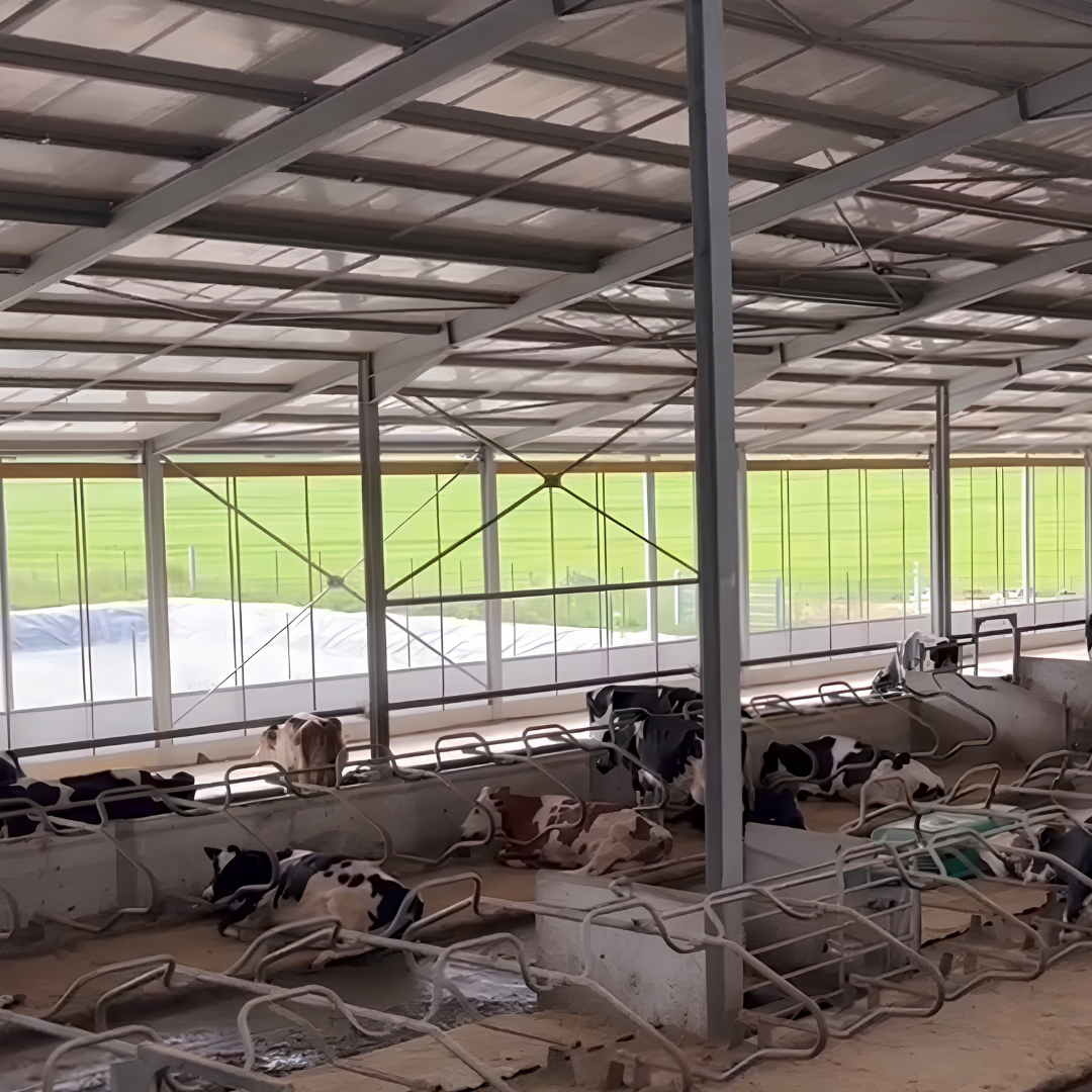 Nouveau b&acirc;timent du GAEC d'&Eacute;tray